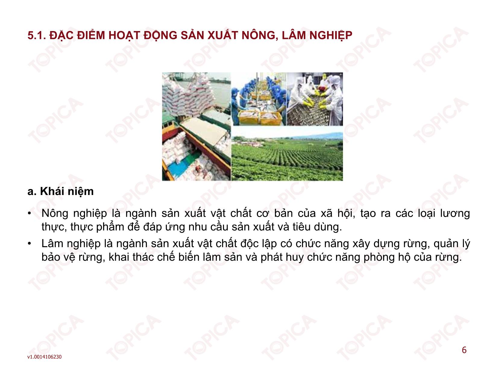 Bài giảng Kiểm toán doanh nghiệp thương mại - Bài 5: Kế toán trong các doanh nghiệp sản xuất nông, lâm nghiệp - Đoàn Thị Trúc Quỳnh trang 6