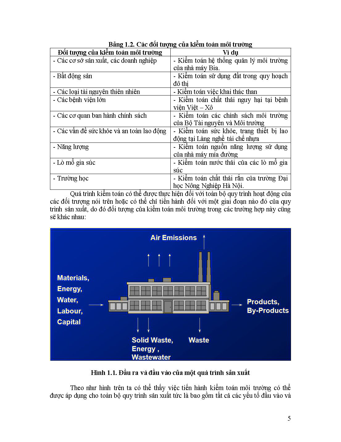 Bài giảng Kiểm toán môi trường - Hồ Thị Lam Trà trang 10