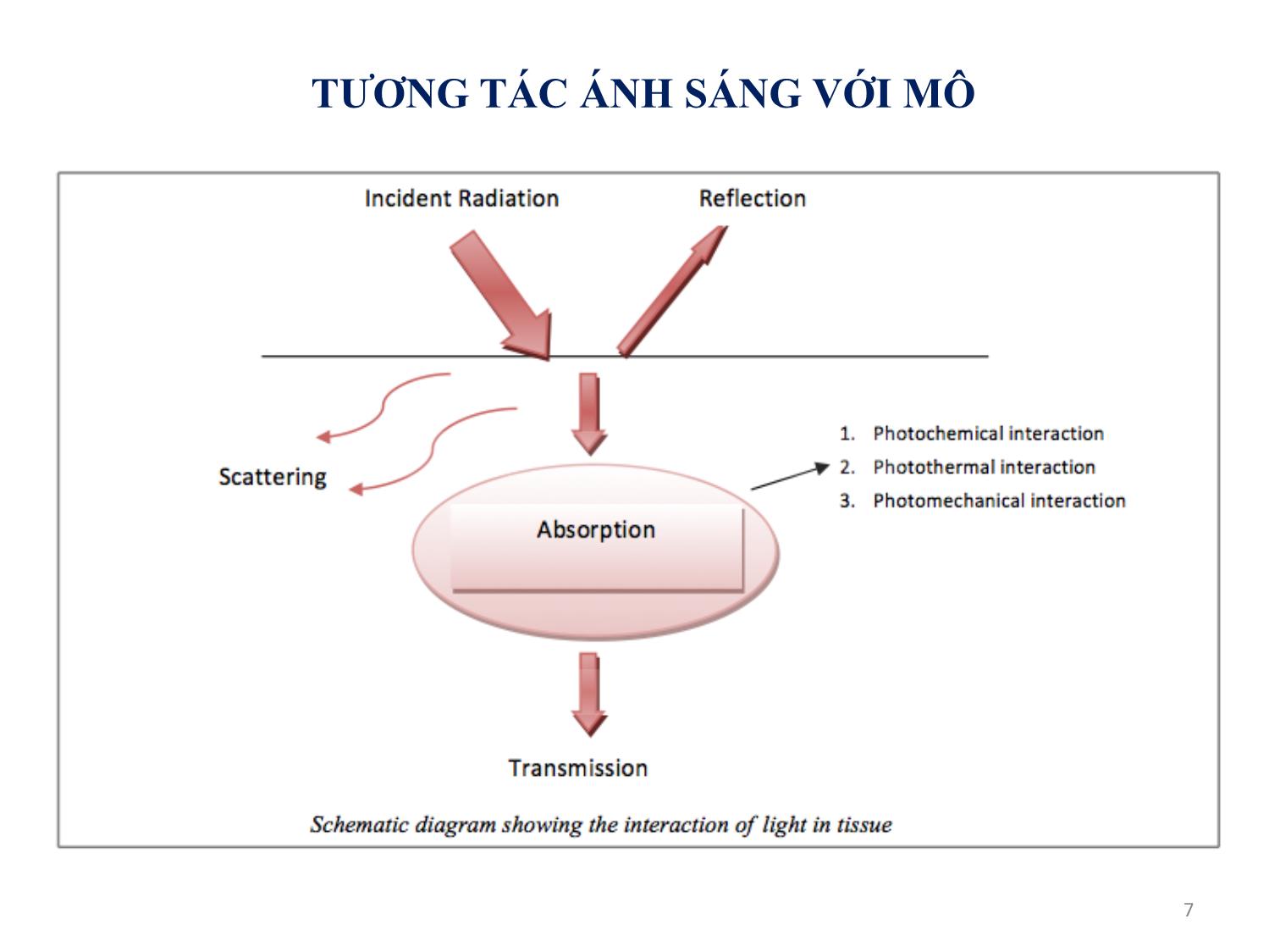 Bài giảng Quang học kỹ thuật và ứng dụng - Chương 1: Tổng quan về môn học - Phạm Thị Hải Miền trang 7