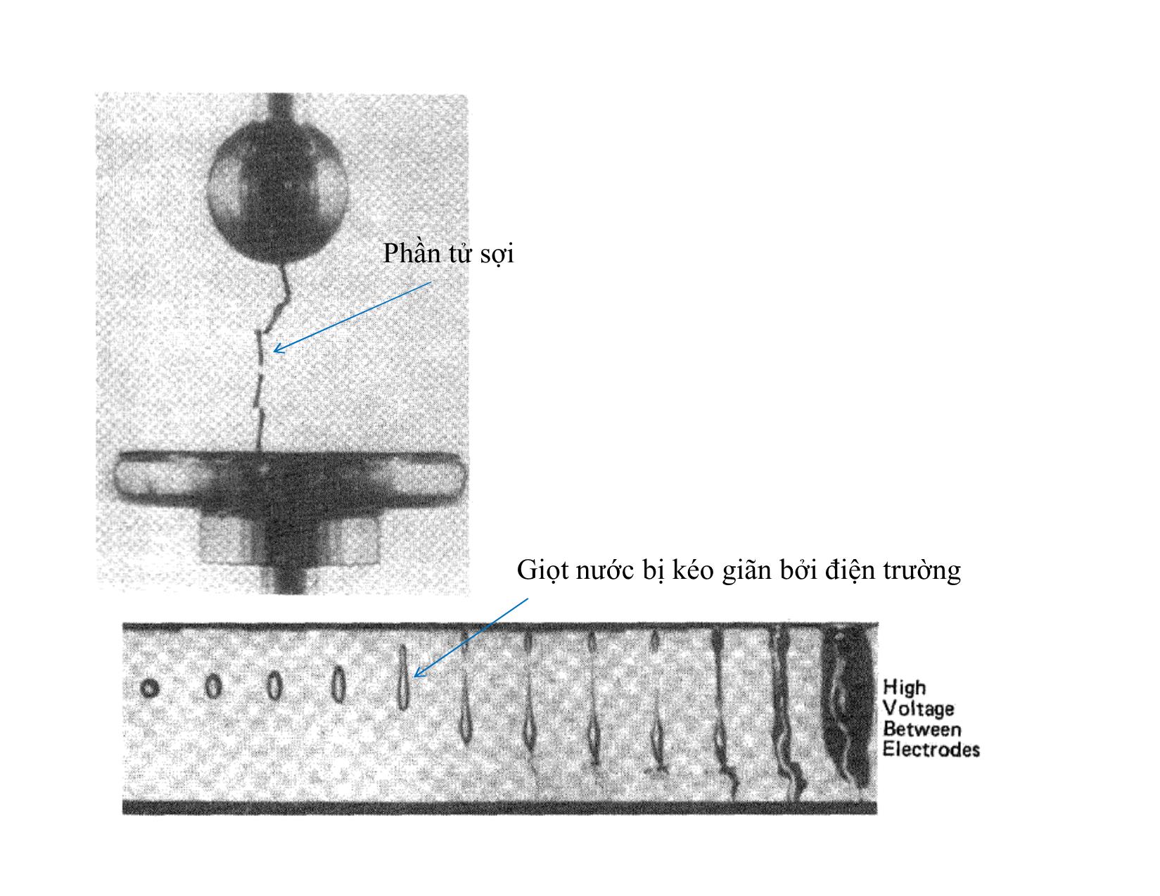 Bài giảng Vật liệu điện - Chương 7: Phóng điện trong chất lỏng trang 8