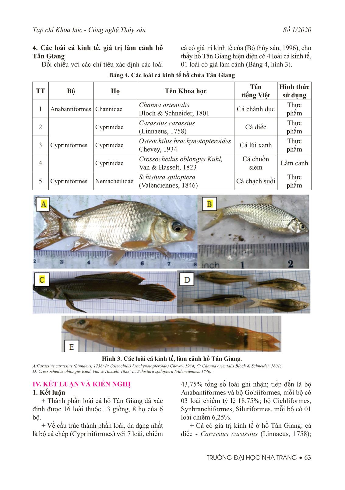 Dẫn liệu thành phần loài cá ở hồ Tân Giang, tỉnh Ninh Thuận trang 5