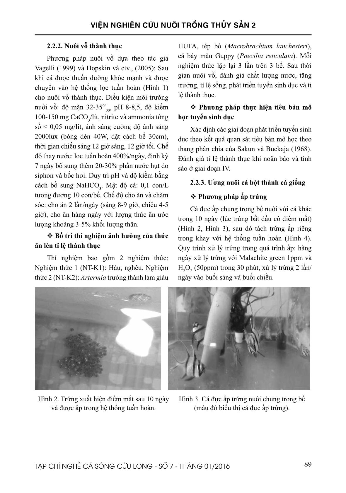 Nghiên cứu sinh sản nhân tạo cá bá chủ (Pterapogon kauderni Kaumans, 1933) tại Việt Nam trang 3