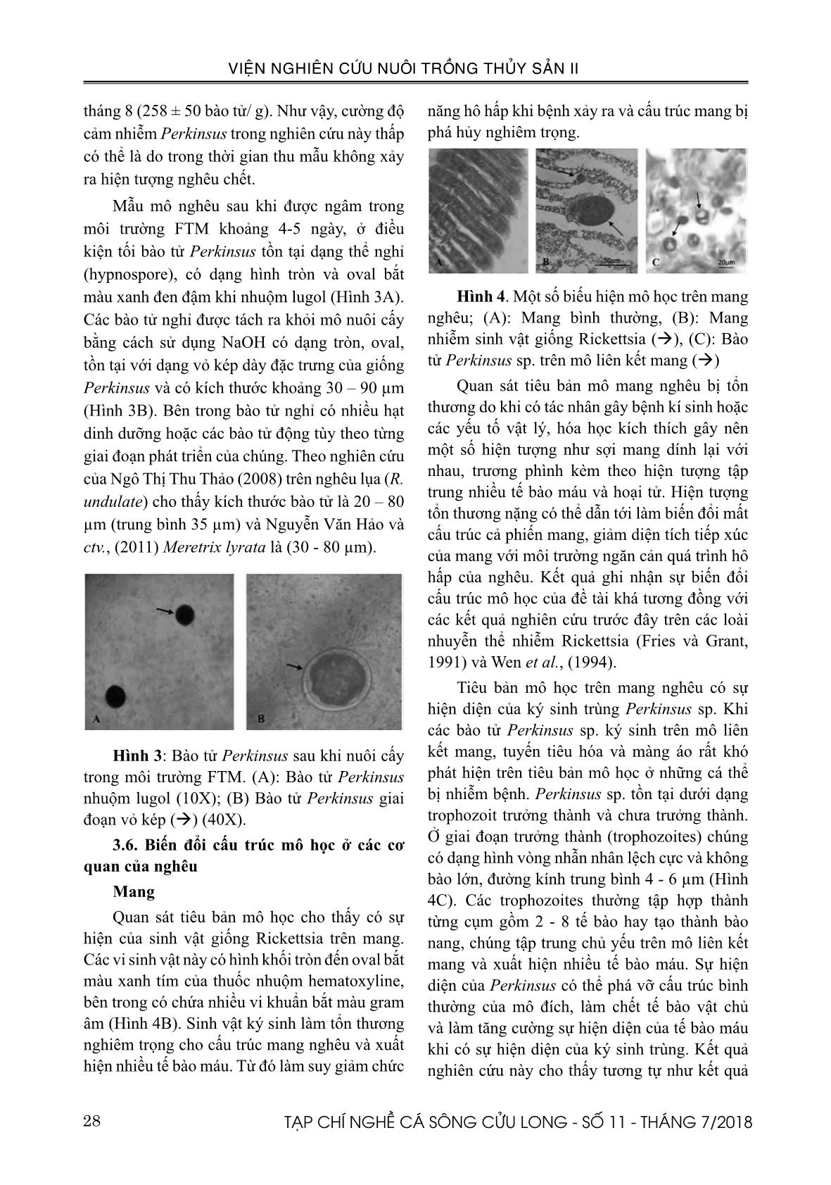 Nghiên cứu sự biến đổi một số yếu tố chất lượng nước và xác định mầm bệnh trên nghêu (Meretrix lyrata Sowerby, 1851) ở tỉnh Bến Tre trang 5
