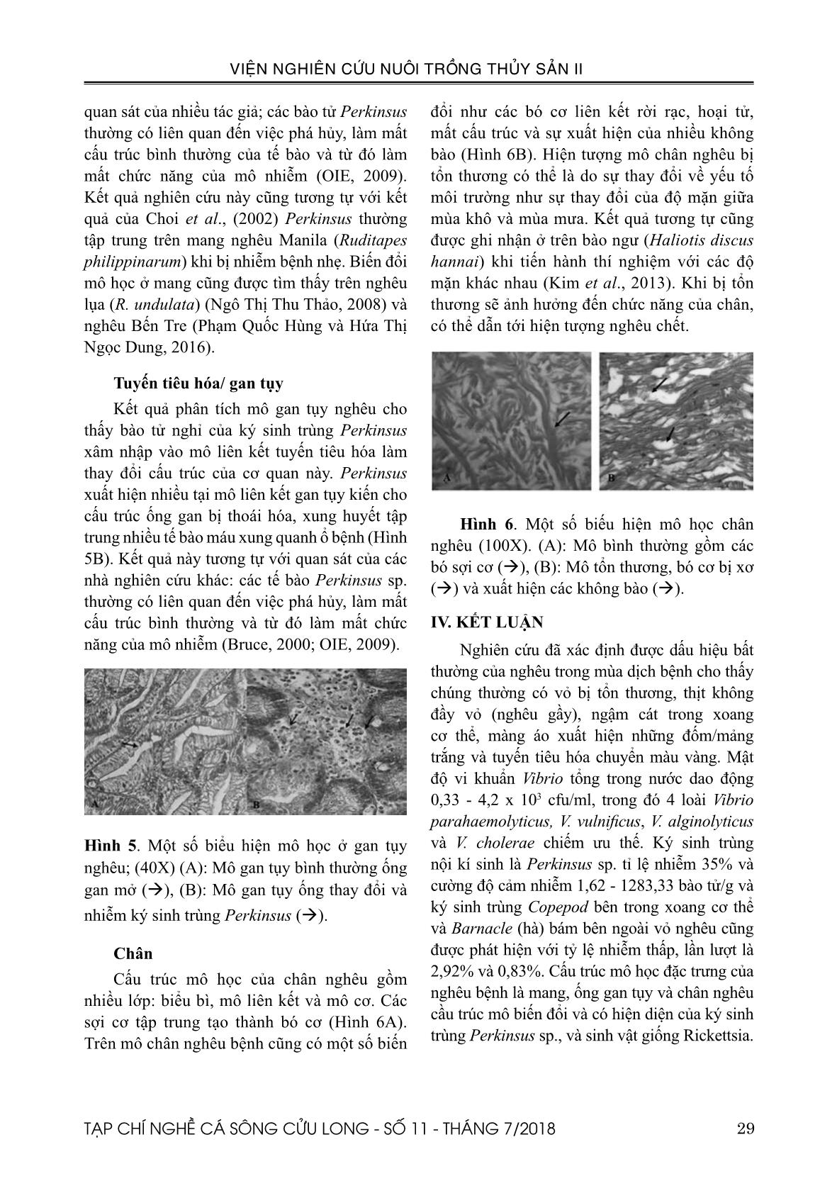 Nghiên cứu sự biến đổi một số yếu tố chất lượng nước và xác định mầm bệnh trên nghêu (Meretrix lyrata Sowerby, 1851) ở tỉnh Bến Tre trang 6