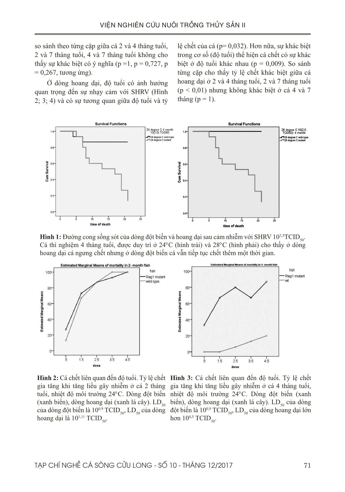 Khác biệt trong sự mẫn cảm với Novirhabdo virus của Zebrafish dòng hoang dại và đột biến và vai trò của lymphocytes trang 5