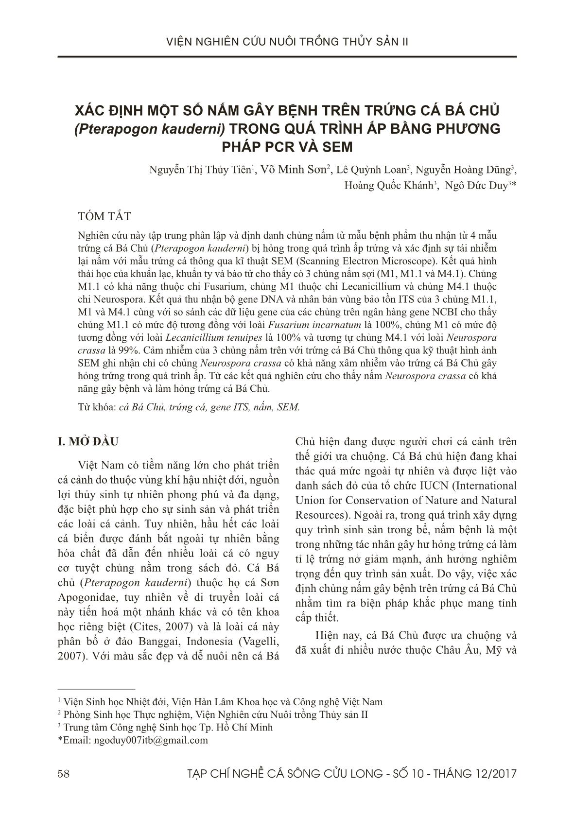 Xác định một số nấm gây bệnh trên trứng cá Bá Chủ (Pterapogon kauderni) trong quá trình ấp bằng phương pháp PCR và SEM trang 1
