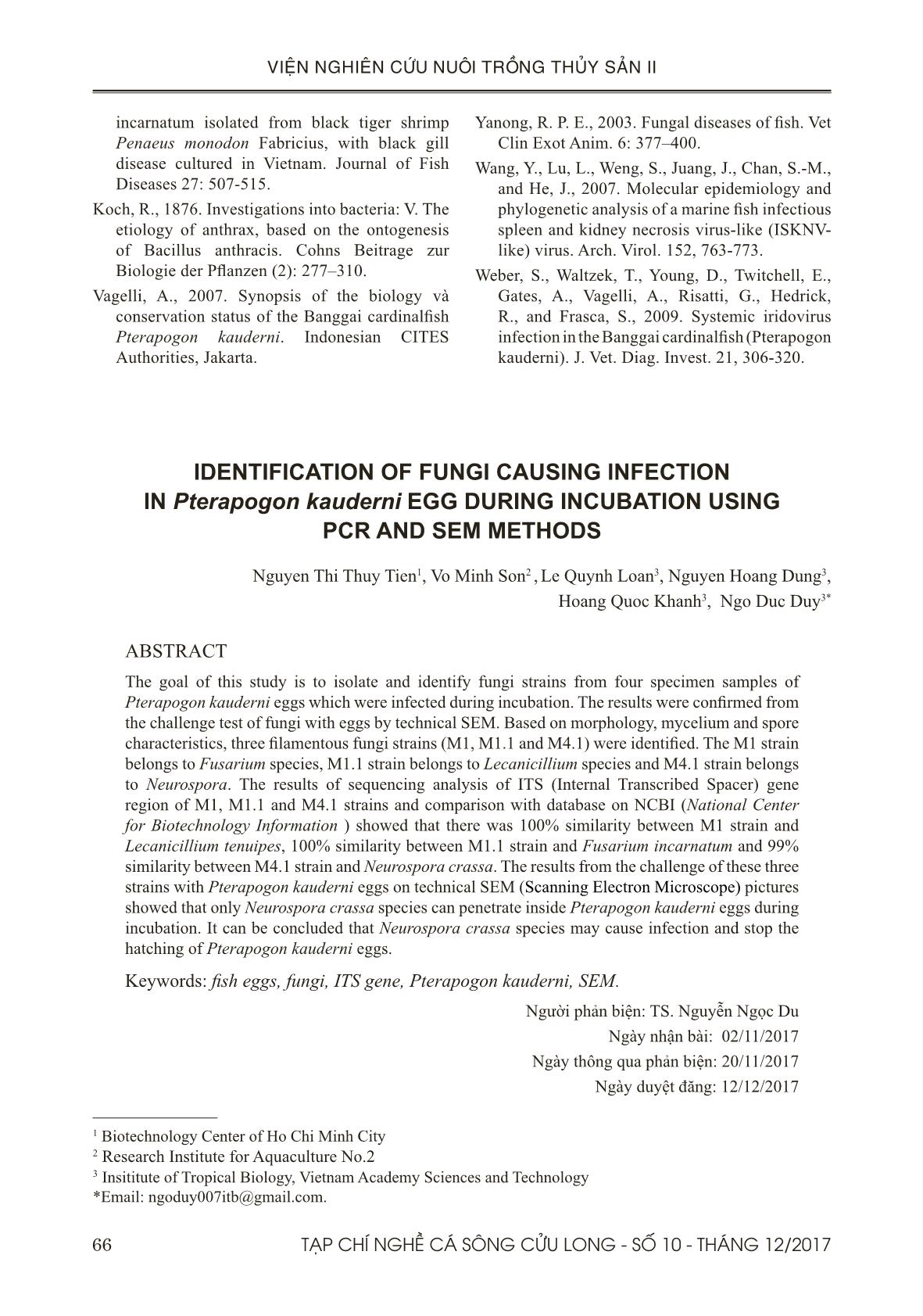 Xác định một số nấm gây bệnh trên trứng cá Bá Chủ (Pterapogon kauderni) trong quá trình ấp bằng phương pháp PCR và SEM trang 9