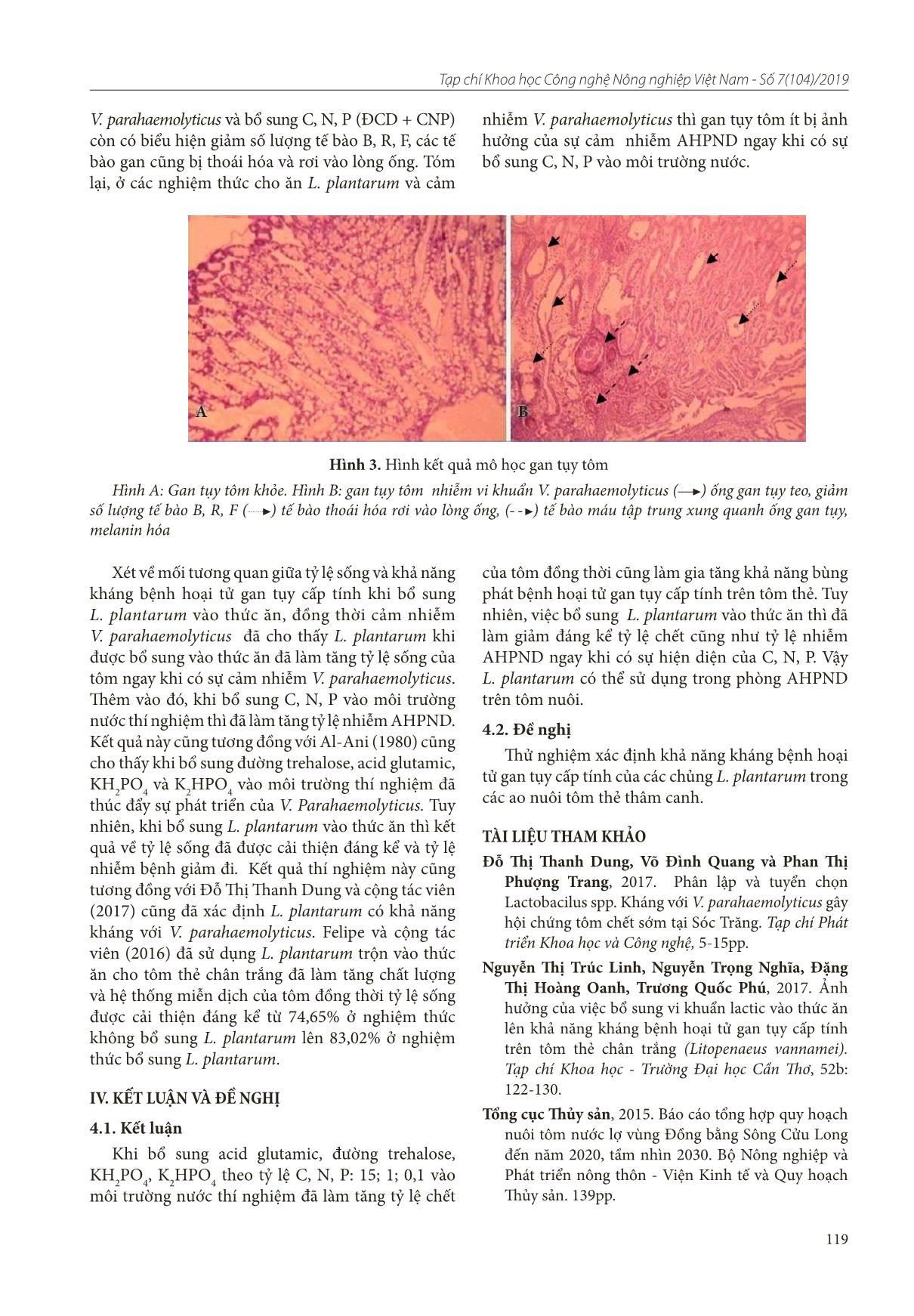 Ảnh hưởng của việc bổ sung vi khuẩn Lactobacillus plantarum và C, N, P lên tỷ lệ sống và phòng bệnh hoại tử gan tụy cấp tính trên tôm thẻ chân trắng trang 6
