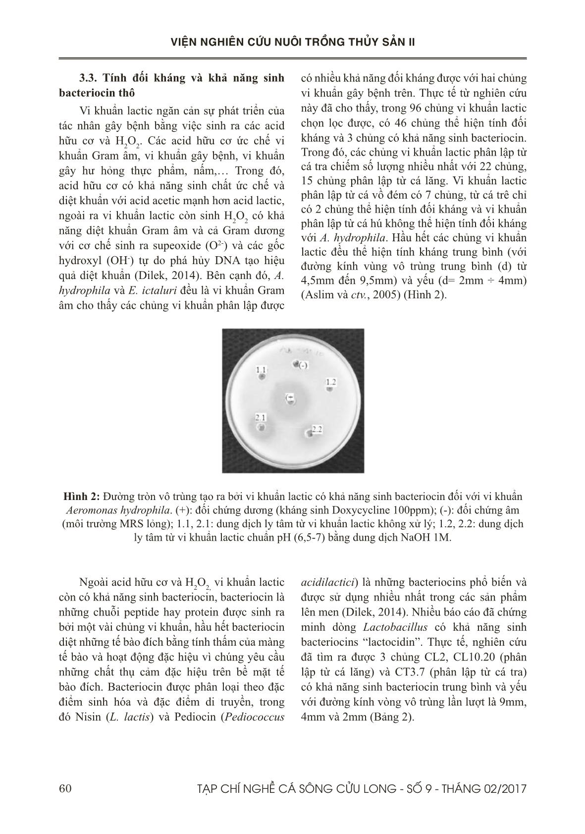 Sàng lọc vi khuẩn lactic có khả năng kháng vi khuẩn Aeromonas hydrophila gây bệnh xuất huyết trên cá tra (Pangasianodon hypophthalmus) trang 6