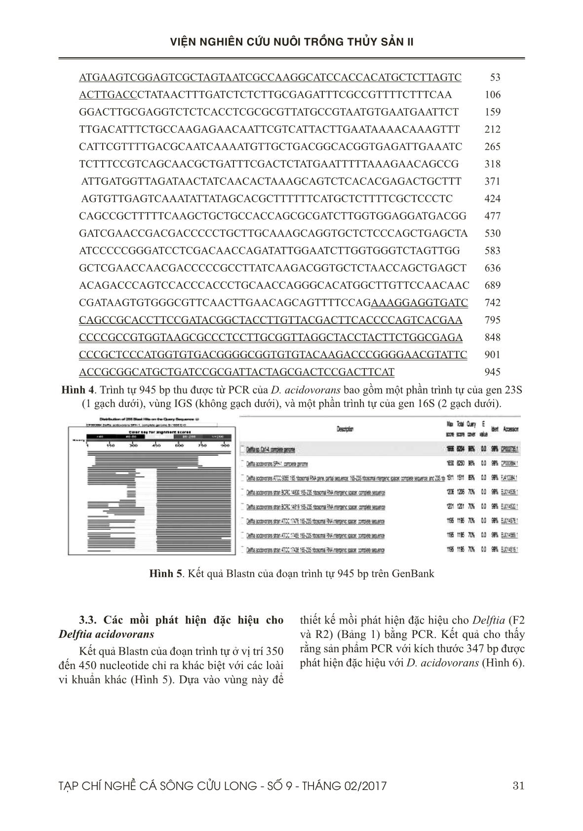 Nghiên cứu vi khuẩn không thuộc nhóm Vibrio có khả năng kết hợp với Vibrio parahaemolyticus gây bệnh hoại tử gan tụy cấp trên tôm thẻ chân trắng ở Thái Lan trang 6