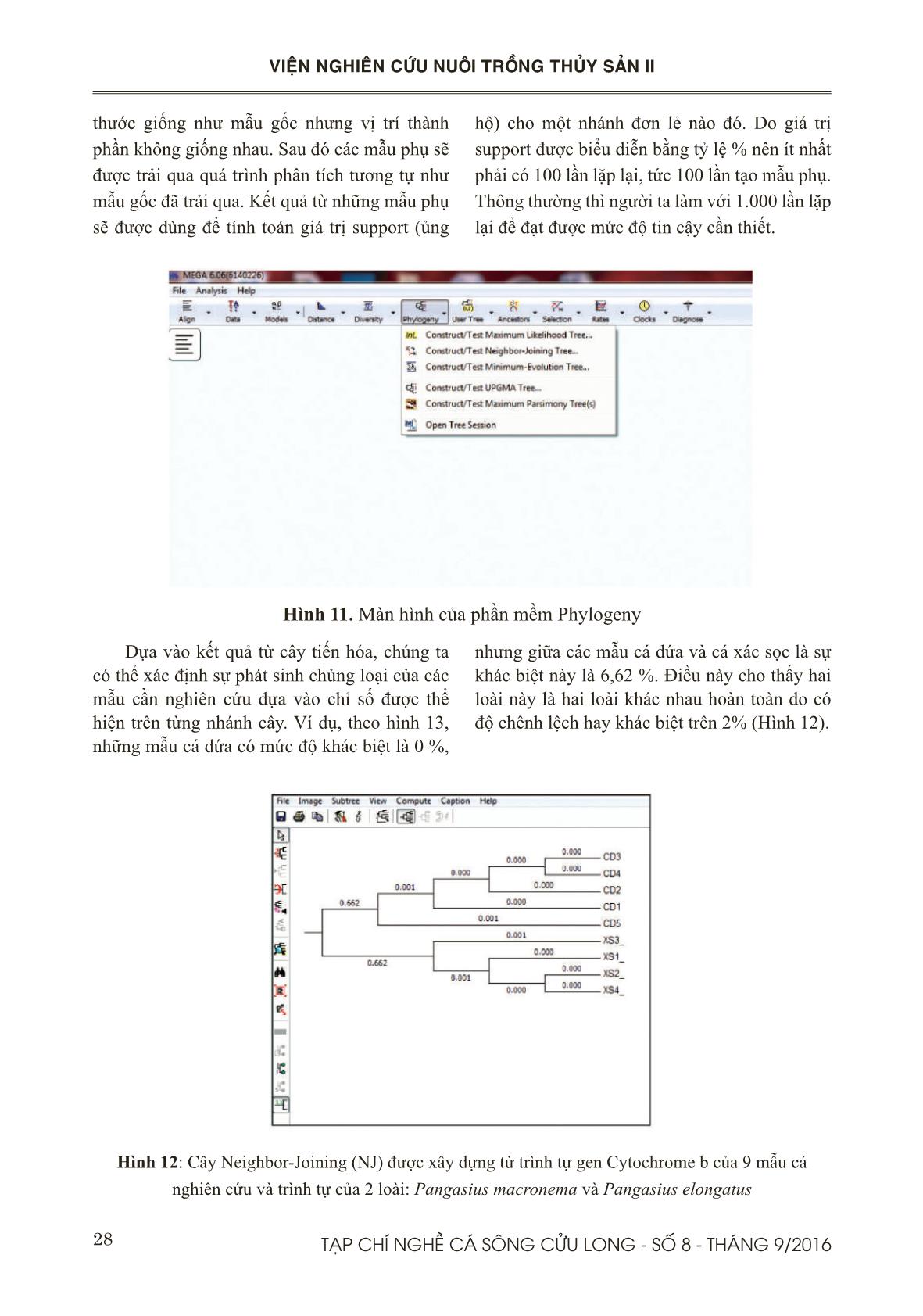 Quy trình phân tích đoạn cytochrome B trên các mẫu cá tra (Pangasianodon hypophthalmus) trang 10