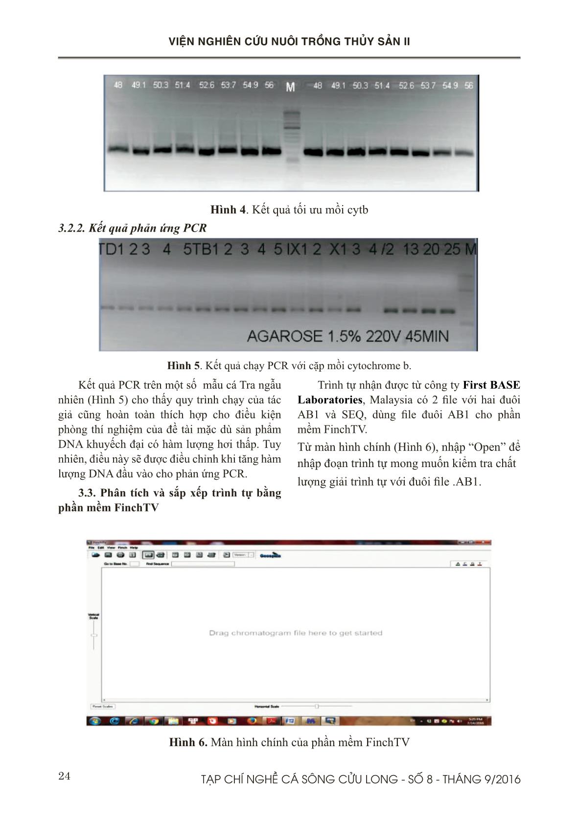 Quy trình phân tích đoạn cytochrome B trên các mẫu cá tra (Pangasianodon hypophthalmus) trang 6
