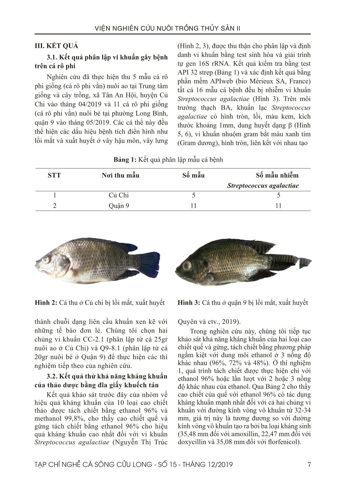 Khảo sát tính kháng khuẩn của cao chiết quế (Cinnamomum verum) và gừng (Zingiber officinale Rose) tách chiết bằng ethanol đối với các chủng vi khuẩn Streptococcus agalactiae phân lập trên cá rô phi giống (Oreochromis spp.) trang 5