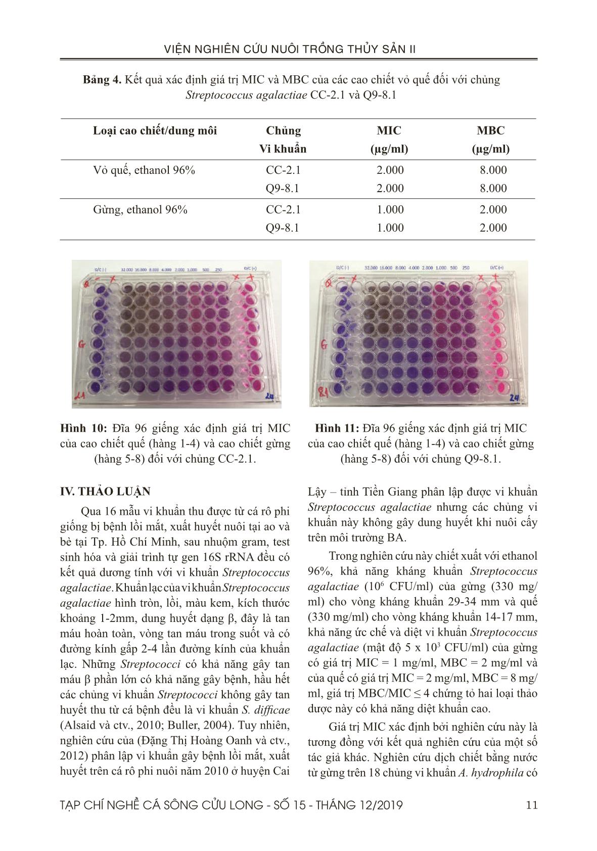 Khảo sát tính kháng khuẩn của cao chiết quế (Cinnamomum verum) và gừng (Zingiber officinale Rose) tách chiết bằng ethanol đối với các chủng vi khuẩn Streptococcus agalactiae phân lập trên cá rô phi giống (Oreochromis spp.) trang 9