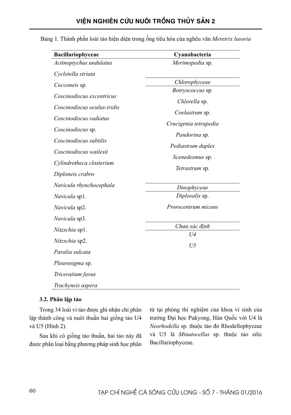 Thành phần loài và đặc điểm tăng trưởng các loài tảo phân lập từ ống tiêu hóa của nghêu vân (Meretrix lusoria) trang 3