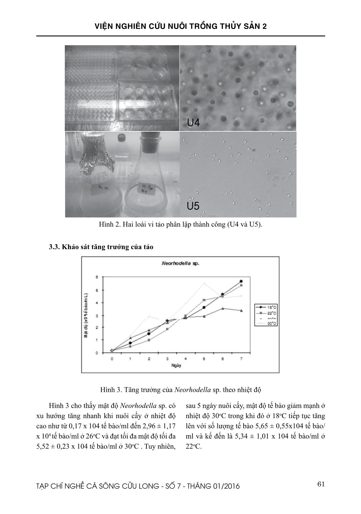 Thành phần loài và đặc điểm tăng trưởng các loài tảo phân lập từ ống tiêu hóa của nghêu vân (Meretrix lusoria) trang 4