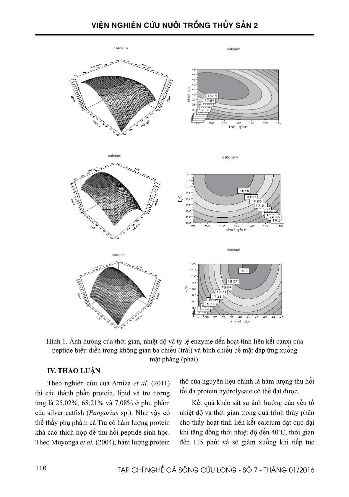 Tối ưu hóa điều kiện thủy phân thu nhận peptide có hoạt tính liên kết canxi từ phụ phẩm cá tra (Pangasianodon hypophthalmus) trang 6