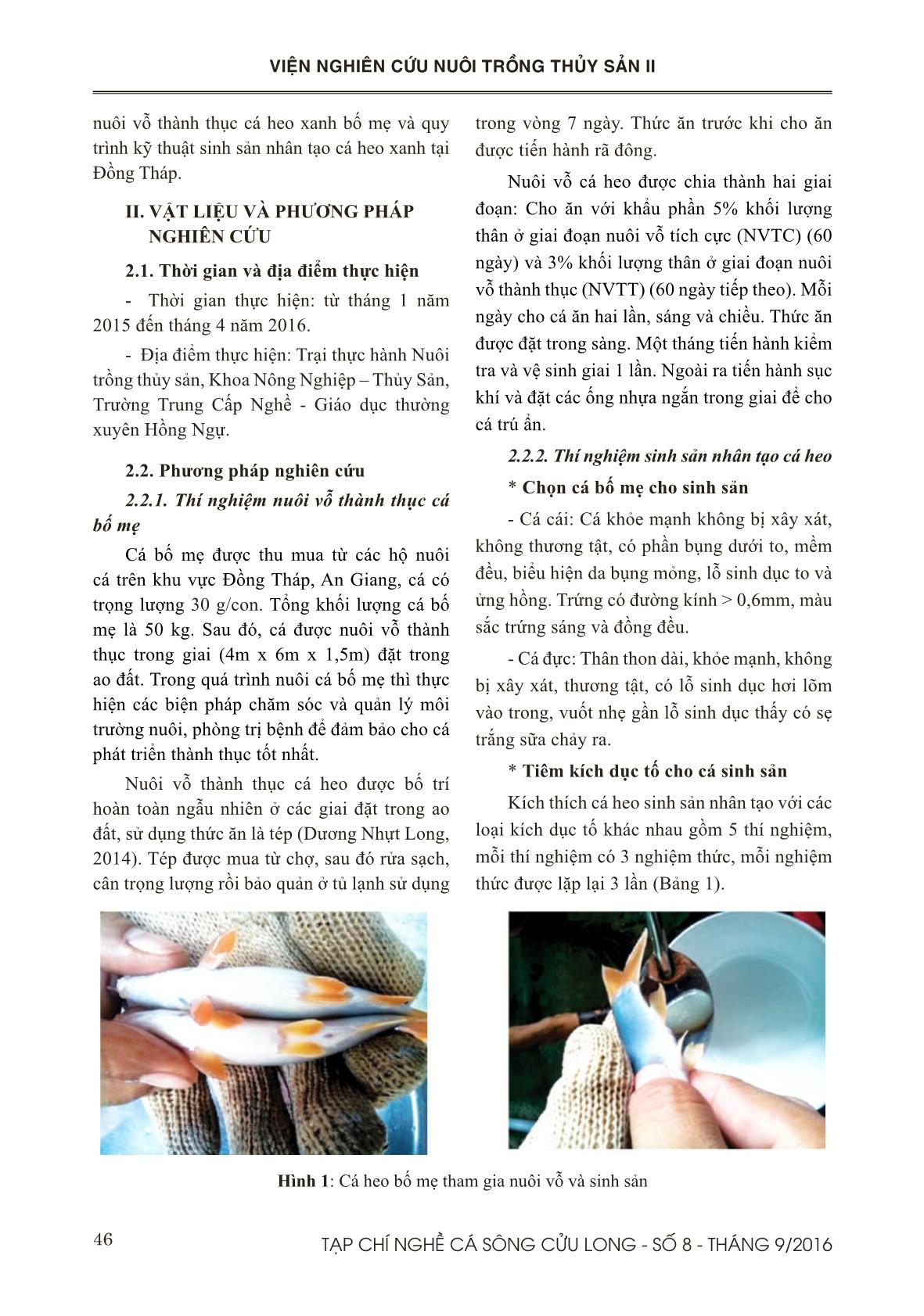 Thực nghiệm so sánh các chất kích thích chín và rụng trứng trên cá heo xanh (Botia modesta BLEEKER, 1865) tại Đồng Tháp trang 2