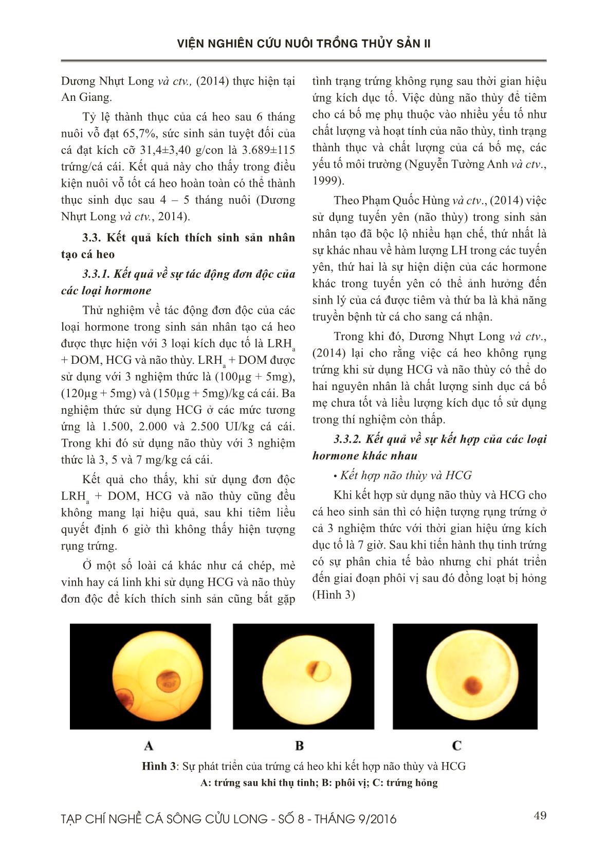 Thực nghiệm so sánh các chất kích thích chín và rụng trứng trên cá heo xanh (Botia modesta BLEEKER, 1865) tại Đồng Tháp trang 5