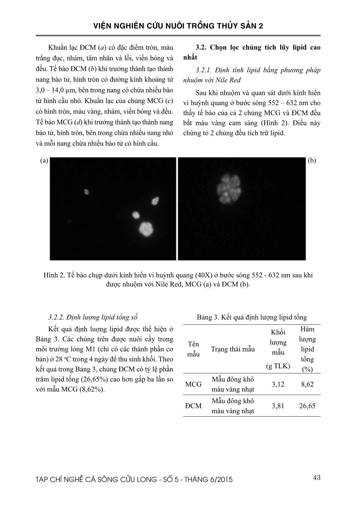 Kết quả phân lập Schizochytrium mangrove giàu lipid phục vụ cho nuôi trồng thủy sản trang 6