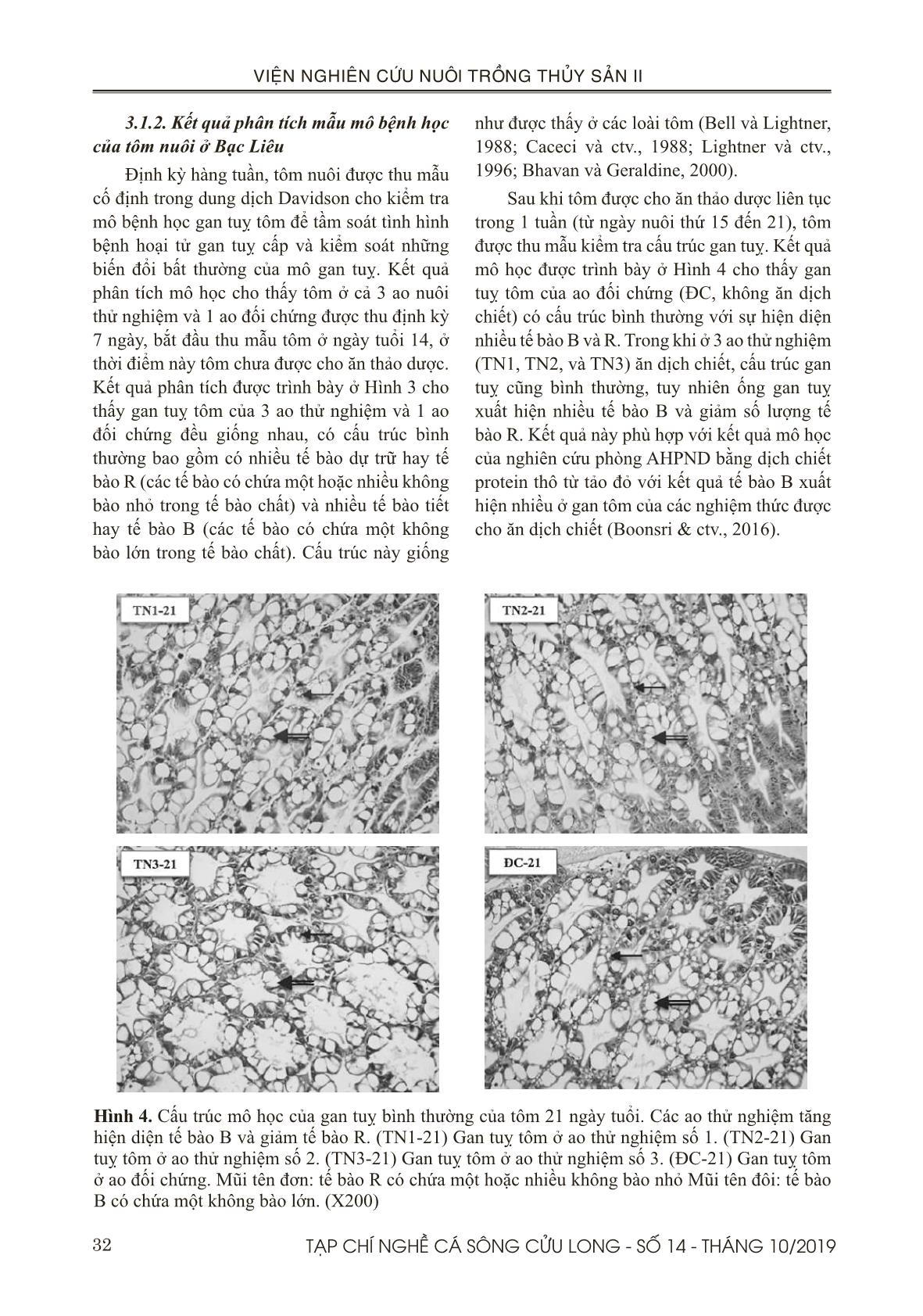 Hiệu quả phòng bệnh hoại tử gan tụy cấp trên tôm thẻ (Penaeus vannamei) của cao chiết khổ sâm (Croton tonkinensis) ở quy mô trang trại trang 7