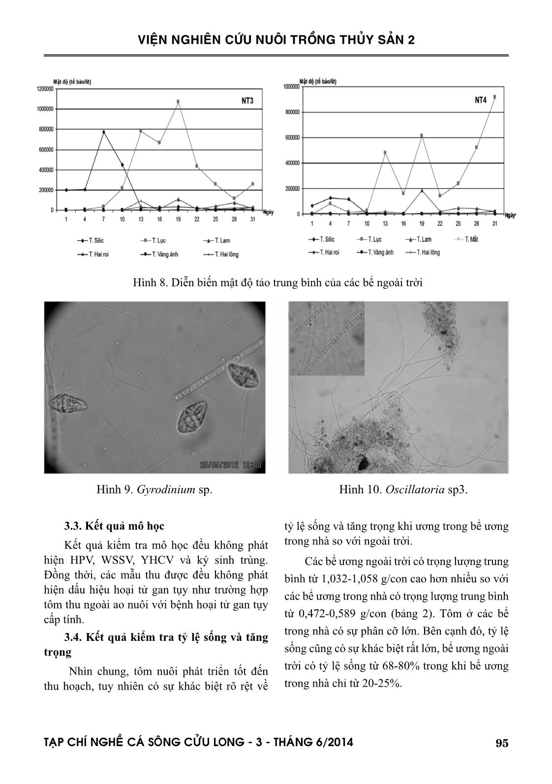 Đánh giá khả năng ảnh hưởng của tảo đối với bệnh hoại tử gan tụy cấp tính (AHPND) ở giai đoạn ương trang 7