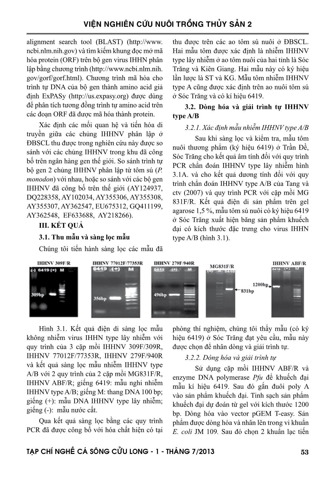 Đặc trưng di truyền của chủng IHHNV phân lập tôm nuôi ở đồng bằng sông Cửu Long trang 5