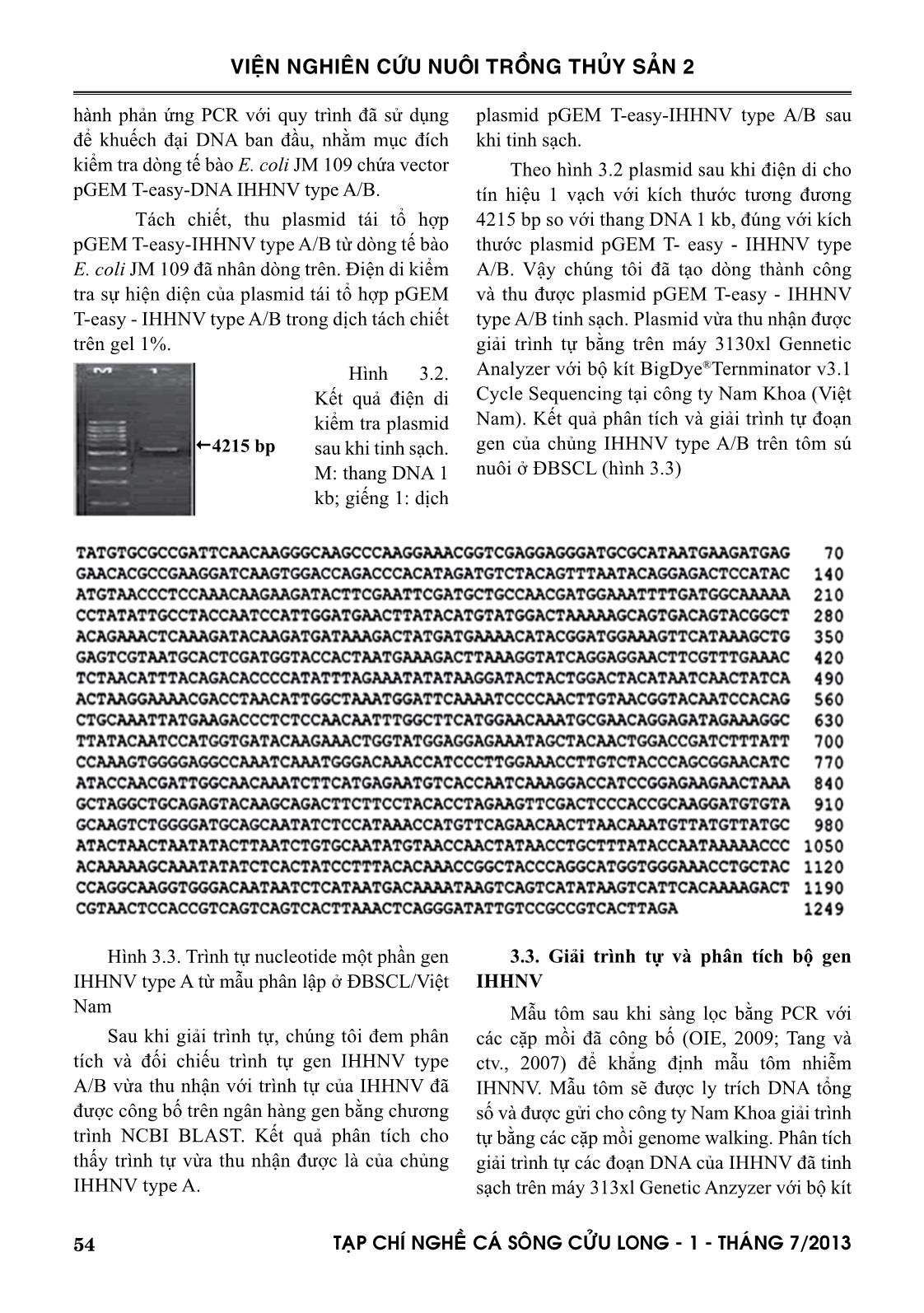 Đặc trưng di truyền của chủng IHHNV phân lập tôm nuôi ở đồng bằng sông Cửu Long trang 6