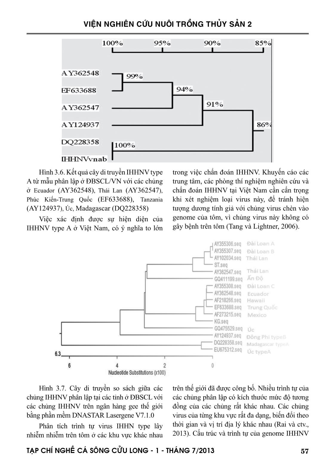 Đặc trưng di truyền của chủng IHHNV phân lập tôm nuôi ở đồng bằng sông Cửu Long trang 9