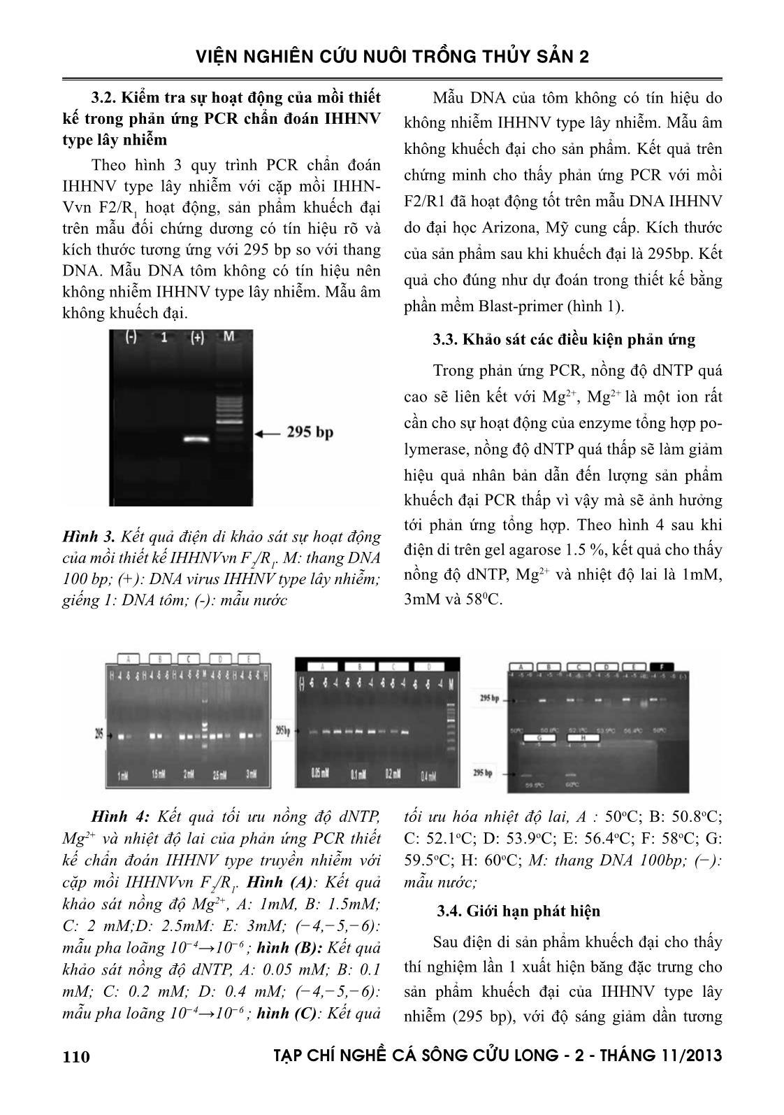 Phát triển quy trình đặc hiệu PCR chẩn đoán IHHNV cho type lây nhiễm trên tôm sú nuôi ở đồng bằng sông Cửu Long trang 5
