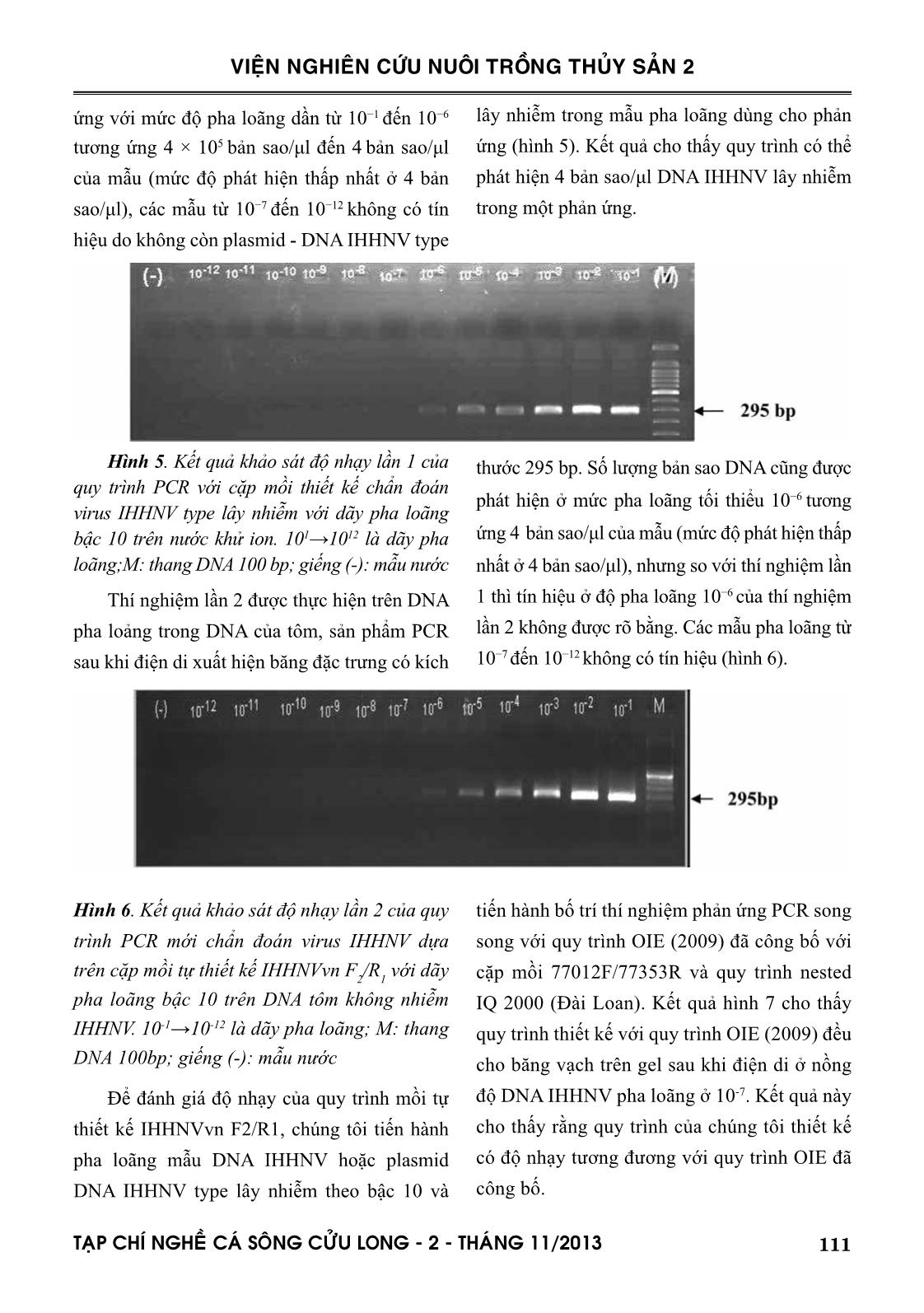 Phát triển quy trình đặc hiệu PCR chẩn đoán IHHNV cho type lây nhiễm trên tôm sú nuôi ở đồng bằng sông Cửu Long trang 6