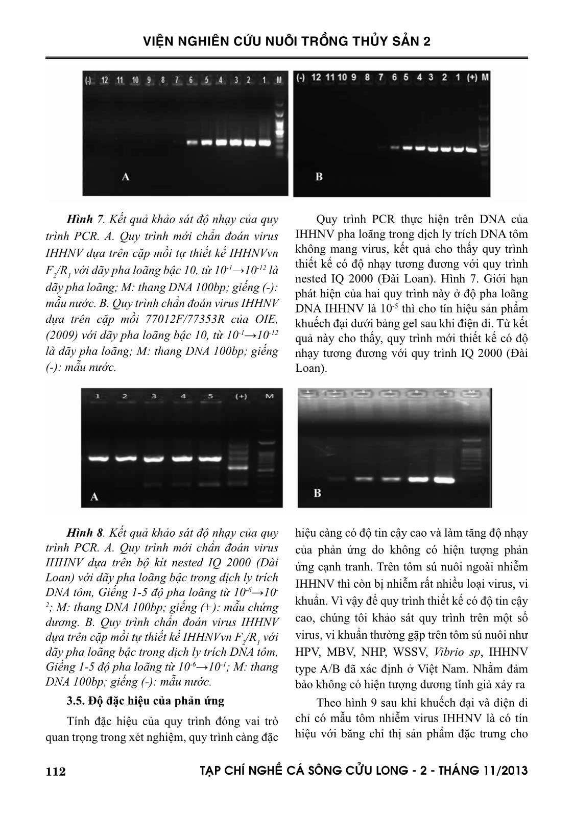 Phát triển quy trình đặc hiệu PCR chẩn đoán IHHNV cho type lây nhiễm trên tôm sú nuôi ở đồng bằng sông Cửu Long trang 7