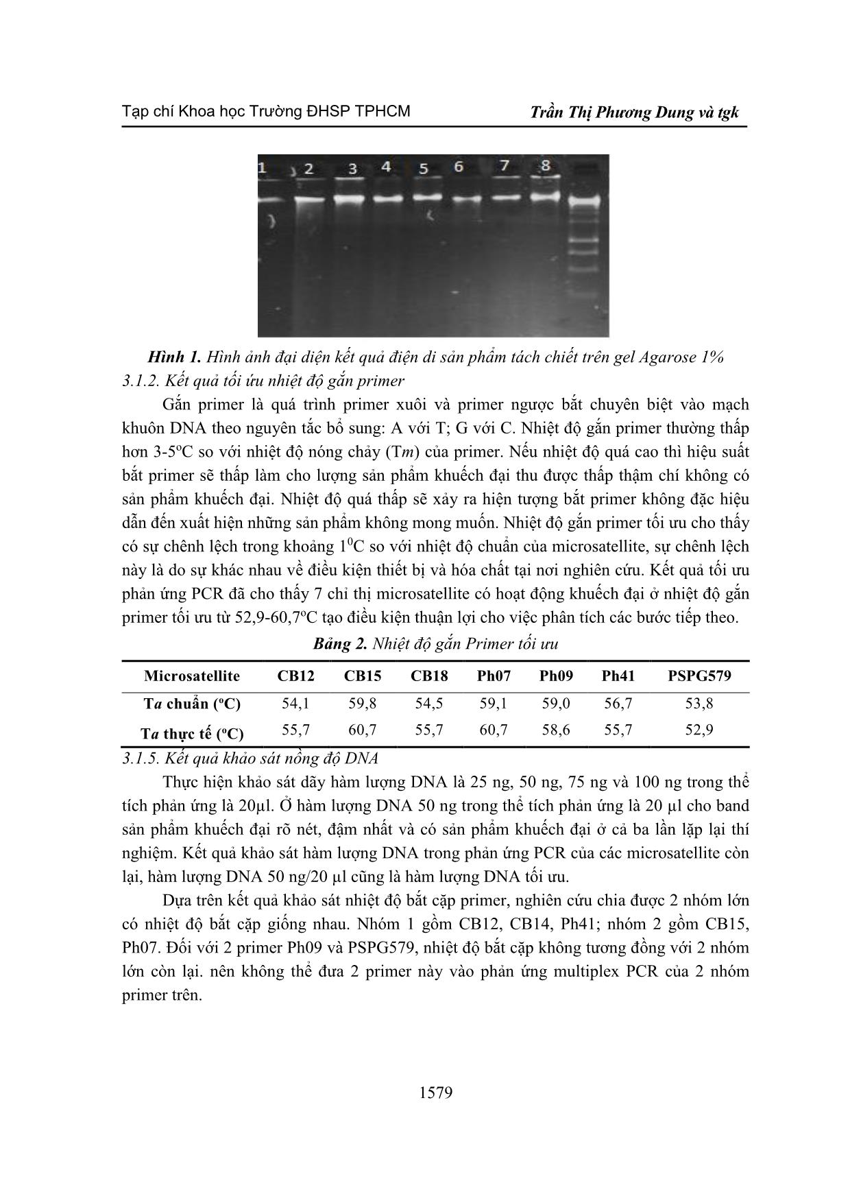 Hiệu chỉnh các thành phần cho phản ứng PCR của các microsatellite và nghiên cứu đa dạng di truyền các quần thể cá tra (Pangasianodon hypophthalmus) trang 5