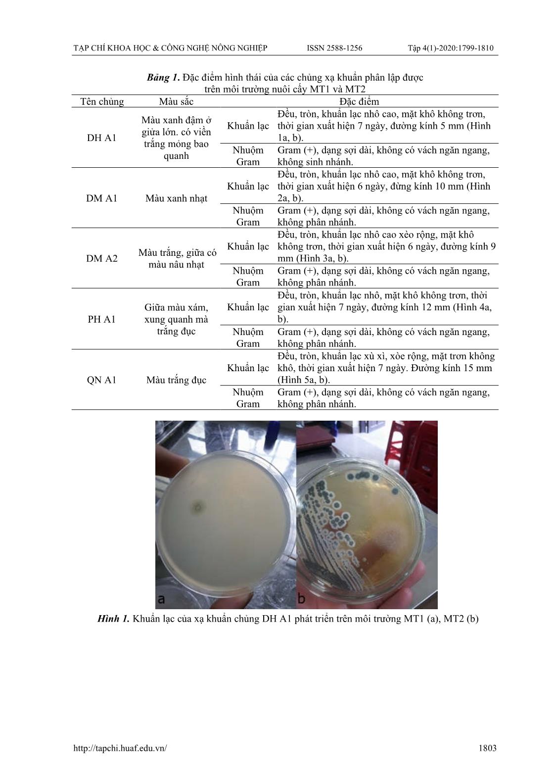 Nghiên cứu một số đặc tính sinh hoá của các chủng xạ khuẩn phân lập được từ các ao nuôi tôm thâm canh tại Thừa Thiên Huế trang 5