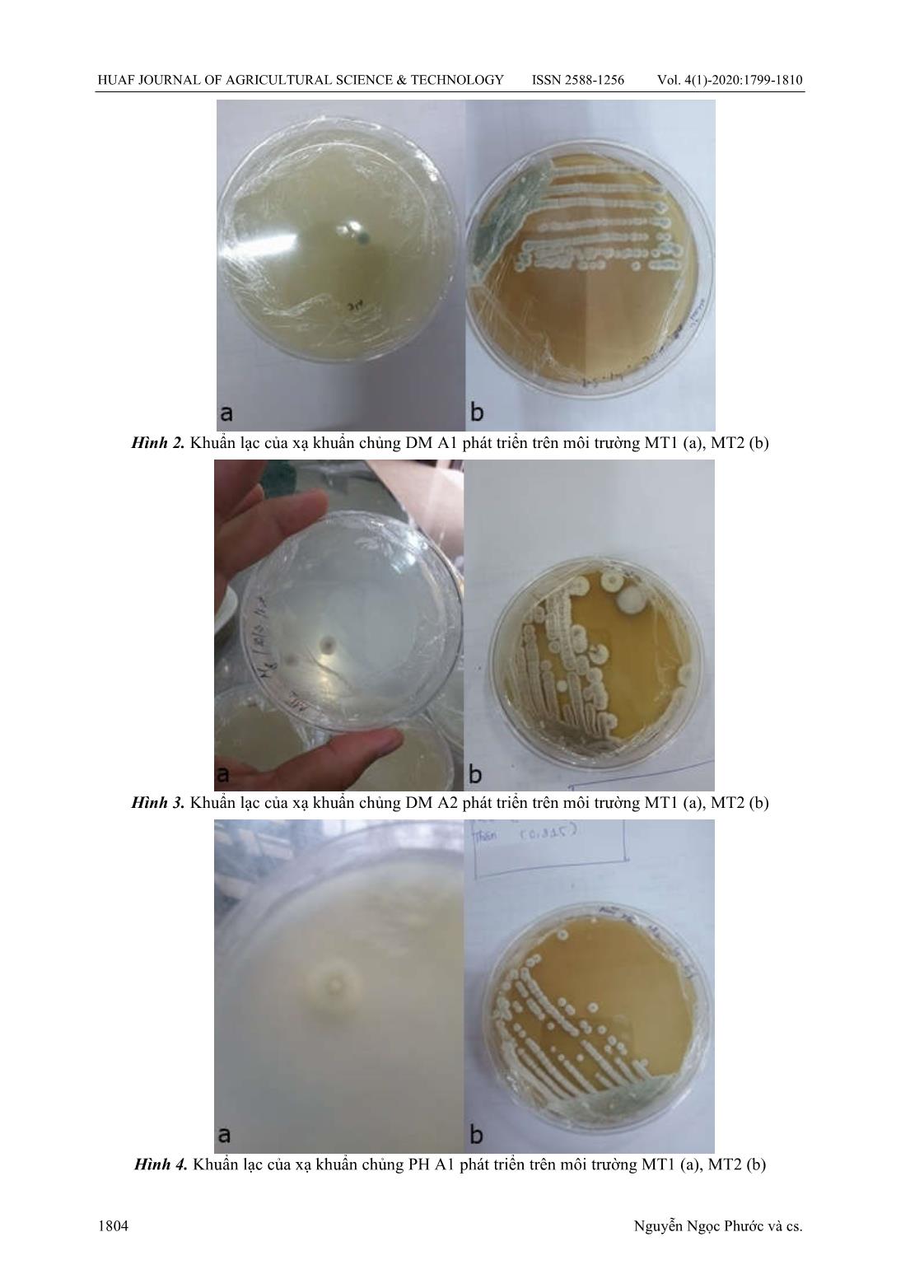 Nghiên cứu một số đặc tính sinh hoá của các chủng xạ khuẩn phân lập được từ các ao nuôi tôm thâm canh tại Thừa Thiên Huế trang 6