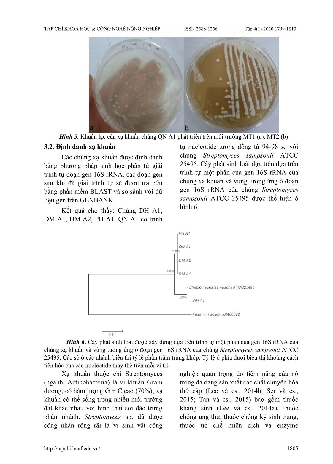 Nghiên cứu một số đặc tính sinh hoá của các chủng xạ khuẩn phân lập được từ các ao nuôi tôm thâm canh tại Thừa Thiên Huế trang 7