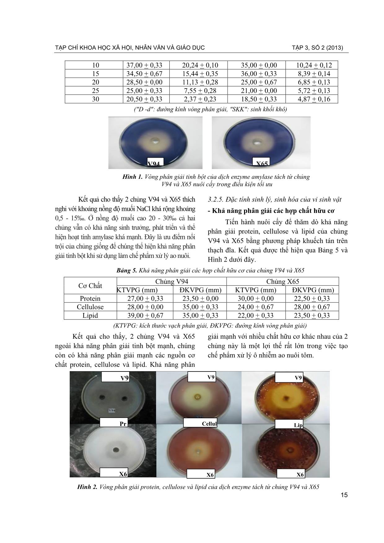 Nghiên cứu một số nhóm vi sinh vật phân giải tinh bột trong ao nuôi tôm ở Đầm Sam - Chuồn, Phú Vang, Thừa Thiên Huế trang 4
