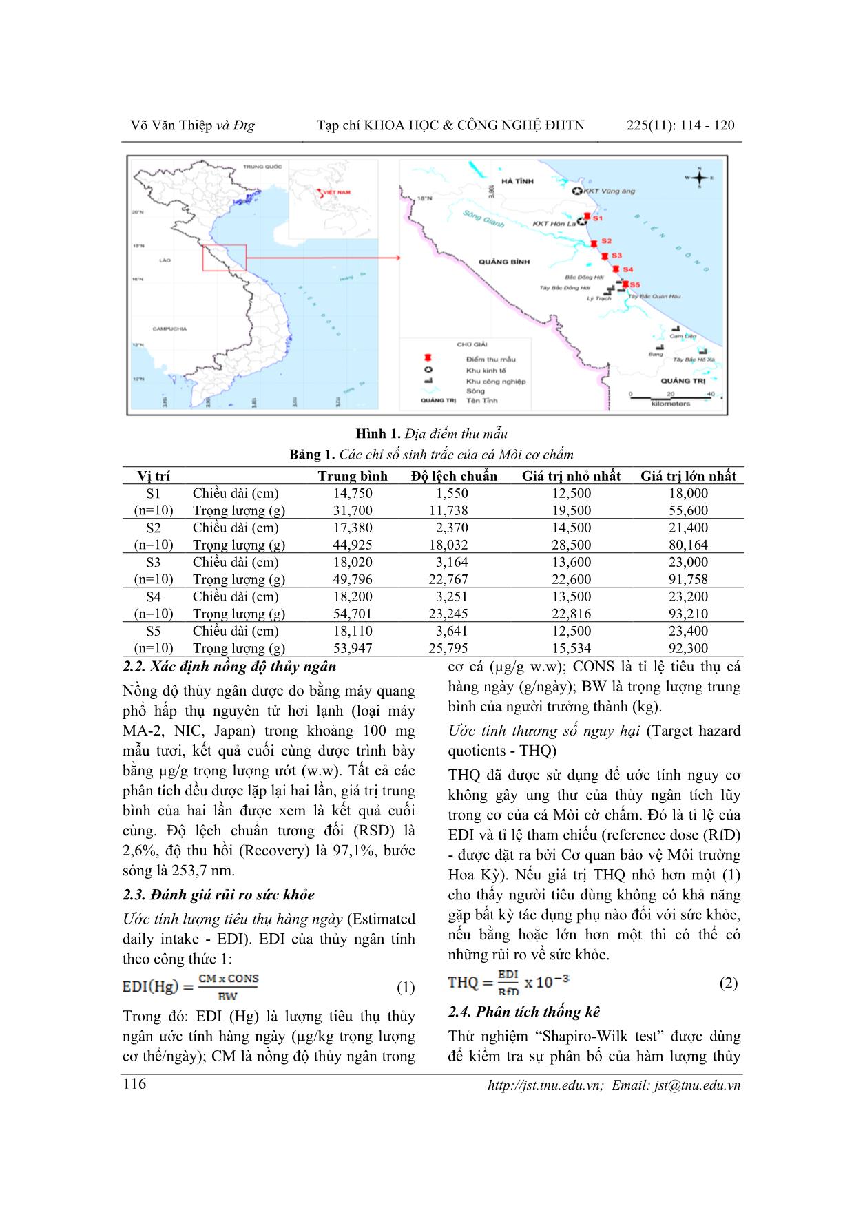 Đánh giá mức độ rủi ro của thủy ngân khi tiêu thụ cá mòi cờ chấm (Konosirus punctatus schlegel, 1846) ở tỉnh Quảng Bình trang 3