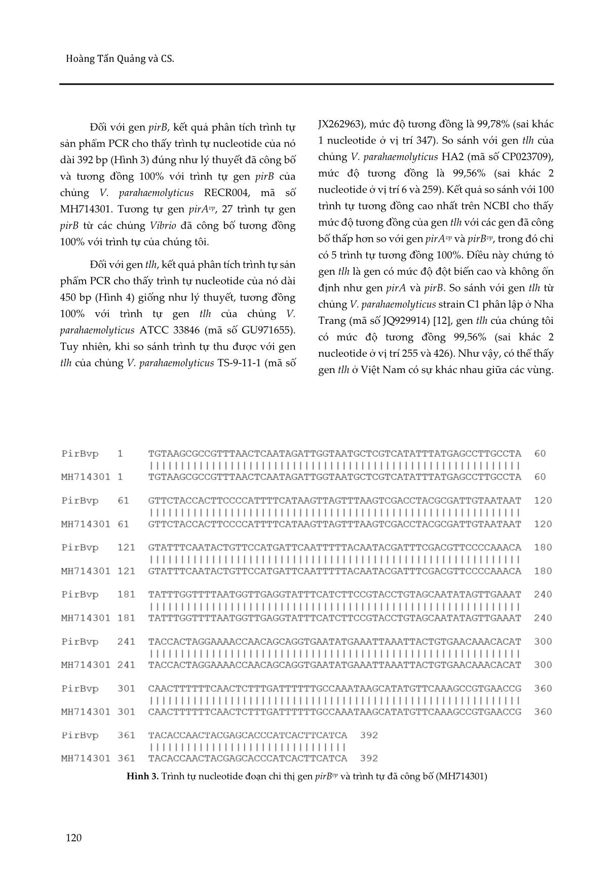 Xác định sự có mặt của các gen độc tố ở các chủng Vibrio gây bệnh hoại tử gan tụy cấp tính trên tôm thẻ chân trắng tại Thừa Thiên Huế trang 6