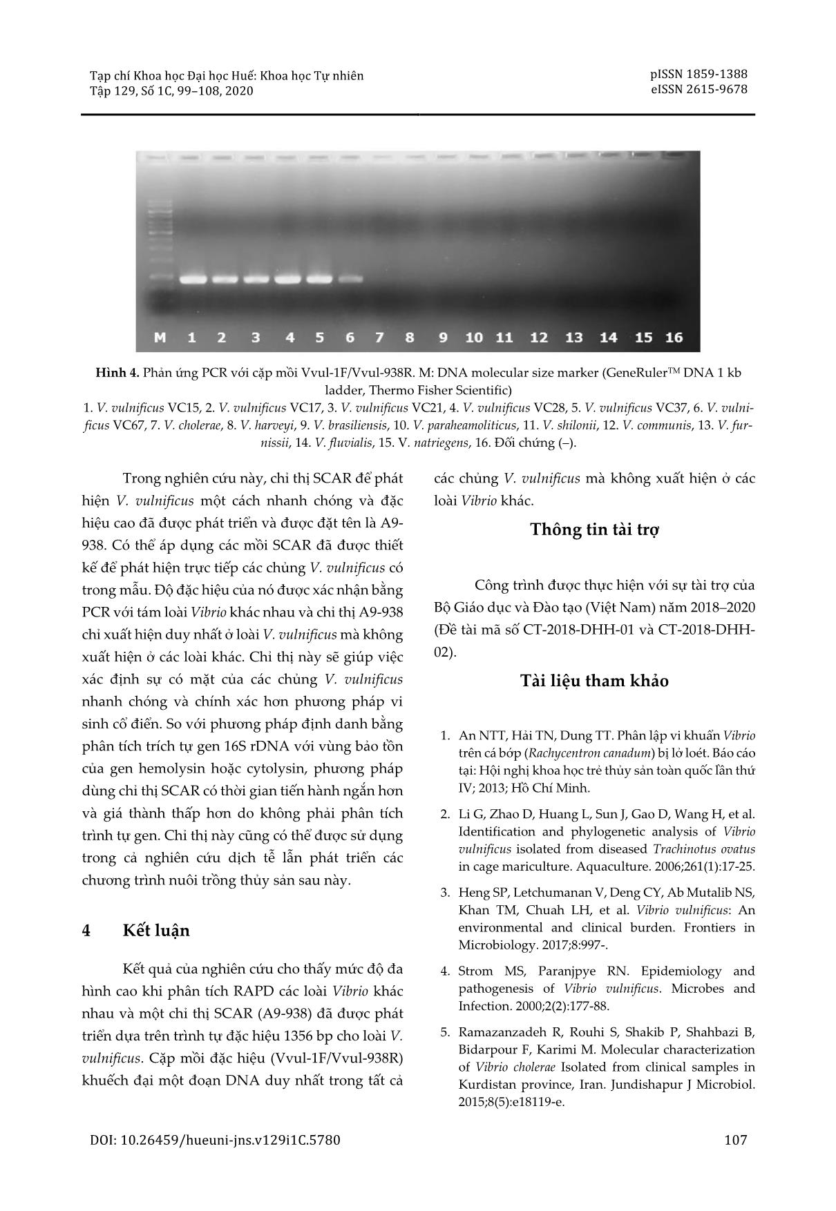 Phát triển chỉ thị phân tử SCAR nhận diện loài Vibrio vulnificus gây bệnh lở loét trên cá nuôi tại tỉnh Thừa Thiên Huế trang 9