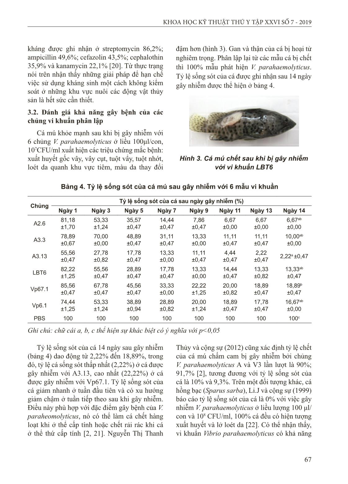 Đặc điểm sinh hóa và di truyền của chủng Vibrio parahaemolyticus gây bệnh hoại tử gan thận cho cá mú nuôi tại Cát Bà, Hải Phòng trang 6