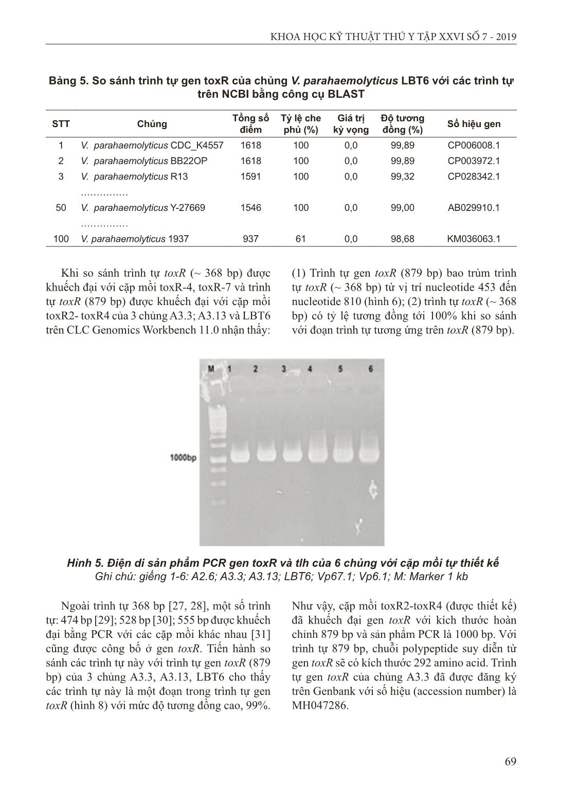 Đặc điểm sinh hóa và di truyền của chủng Vibrio parahaemolyticus gây bệnh hoại tử gan thận cho cá mú nuôi tại Cát Bà, Hải Phòng trang 8