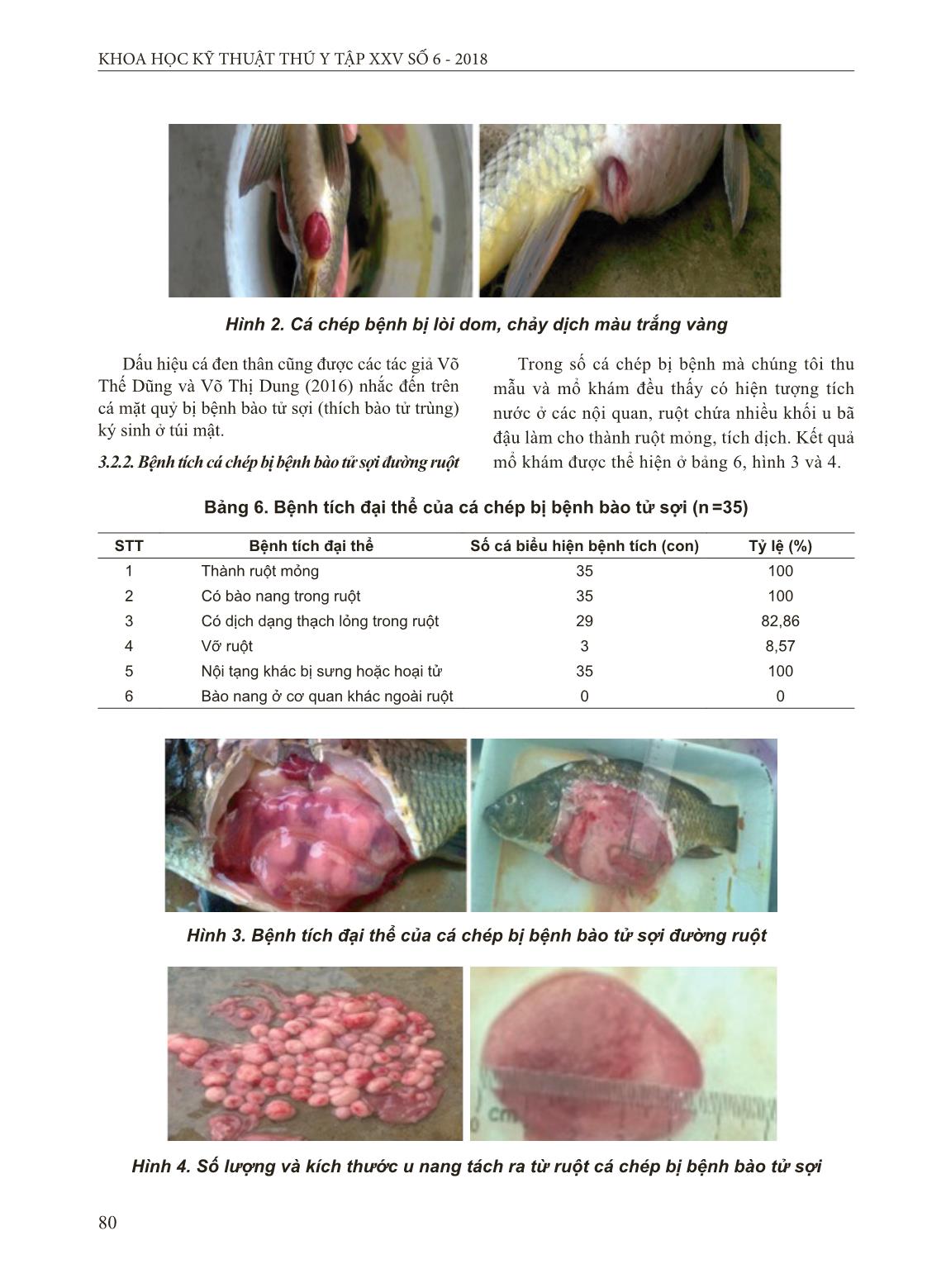 Nghiên cứu một số đặc điểm bệnh u nang bã đậu trong ruột cá chép do bào tử sợi gây ra tại Hải Dương trang 5