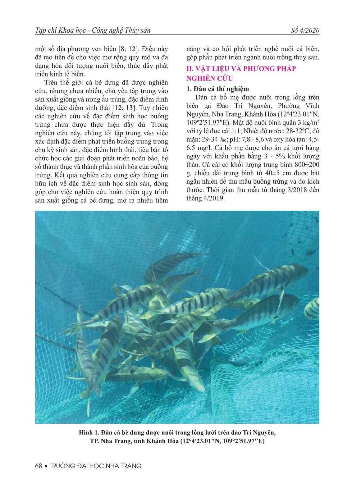 Nghiên cứu đặc điểm sinh học buồng trứng cá bè đưng (Gnathanodon speciosus) trang 2