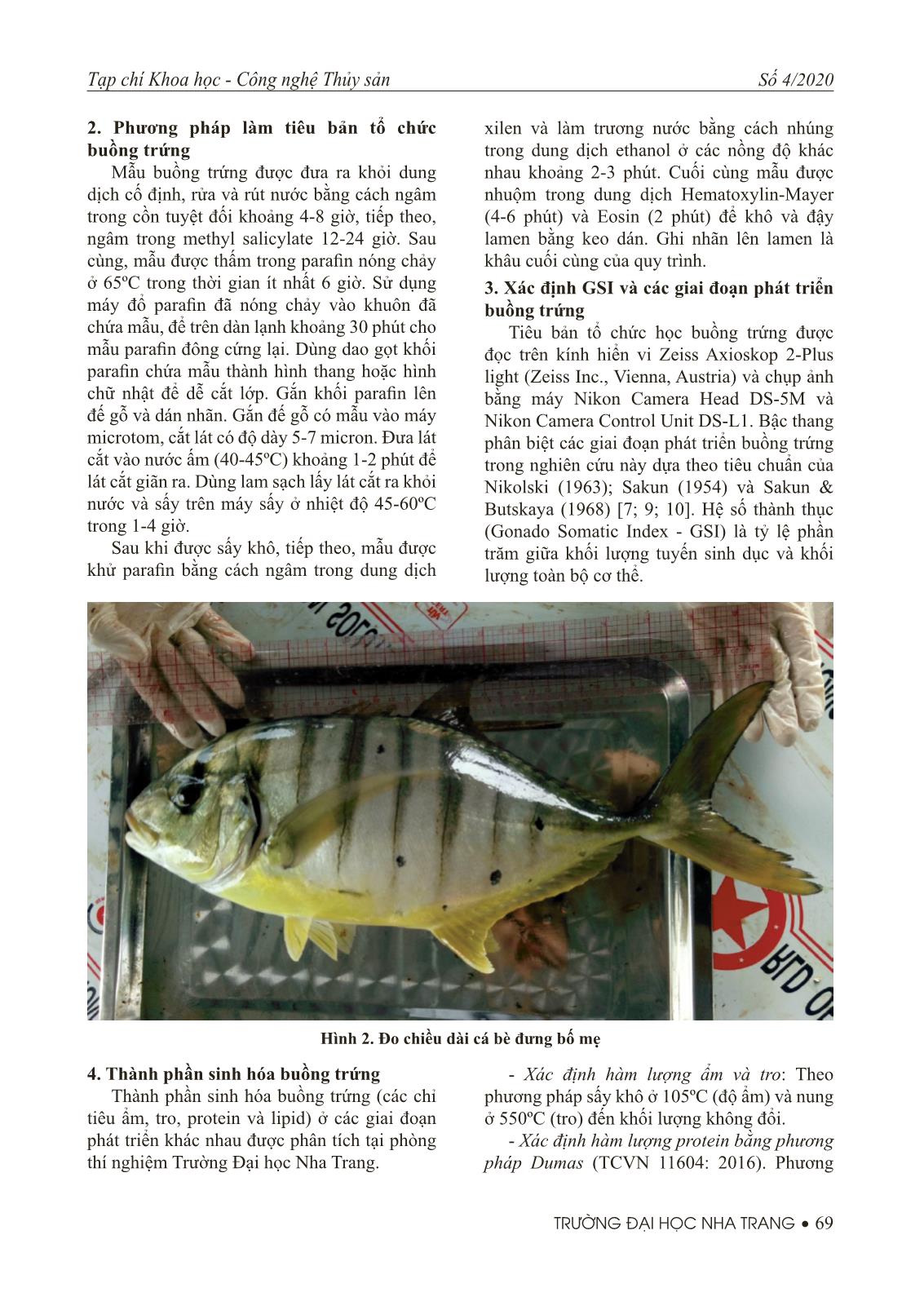 Nghiên cứu đặc điểm sinh học buồng trứng cá bè đưng (Gnathanodon speciosus) trang 3