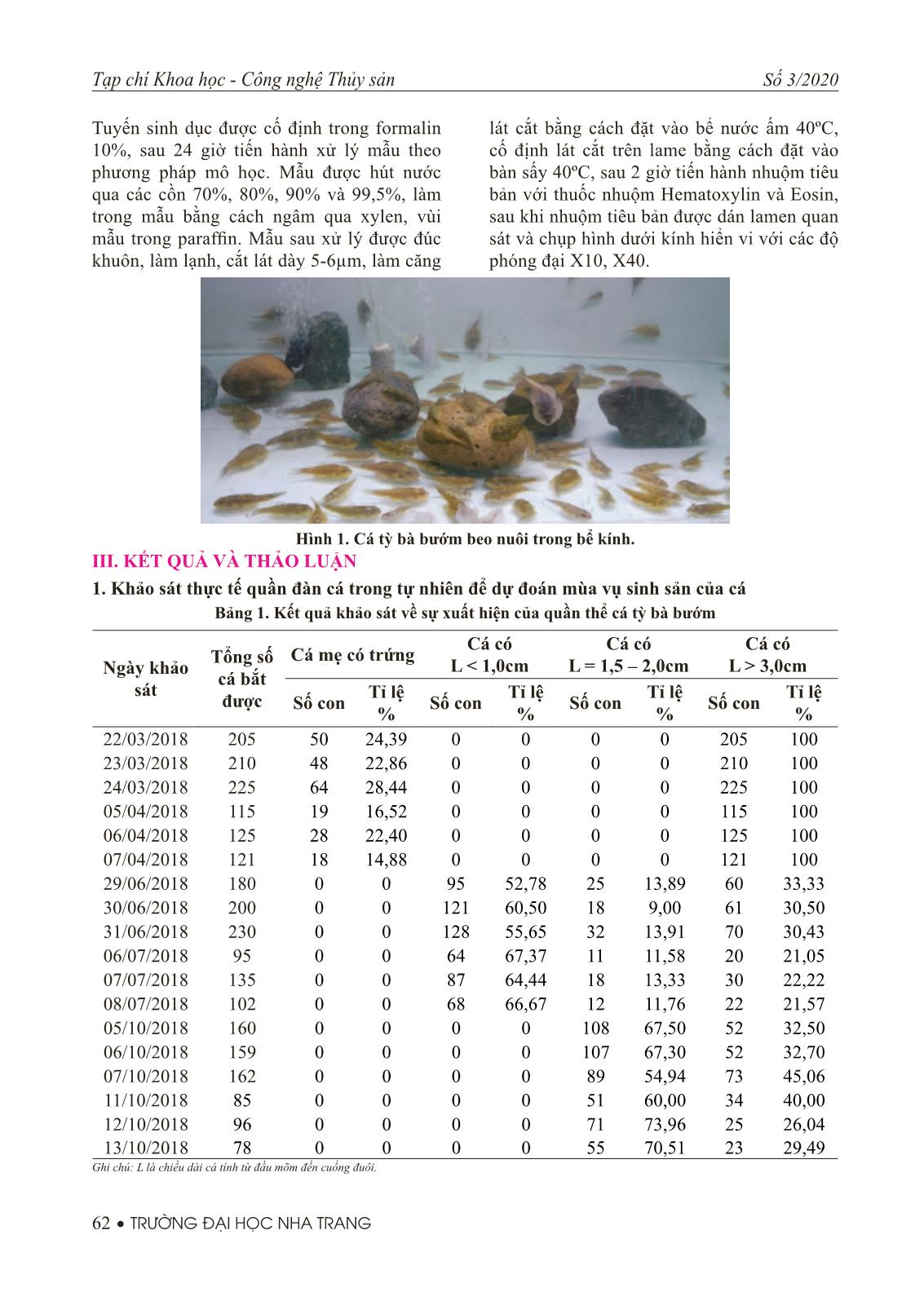 Khảo sát và theo dõi sự phát triển tuyến sinh dục của cá tỳ bà bướm beo (Sewellia elongate Roberts, 1998) trong điều kiện nuôi nhân tạo trang 3