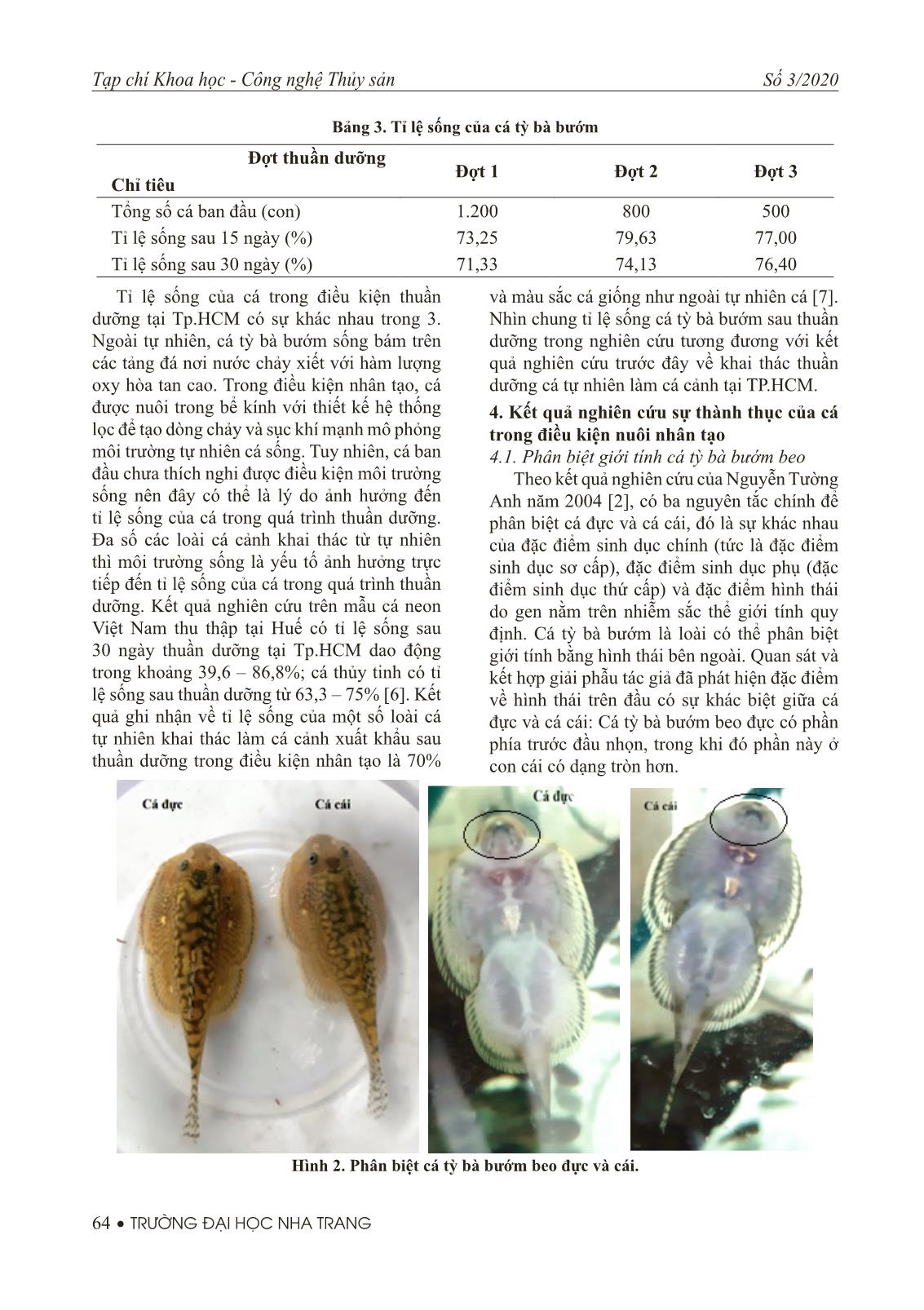 Khảo sát và theo dõi sự phát triển tuyến sinh dục của cá tỳ bà bướm beo (Sewellia elongate Roberts, 1998) trong điều kiện nuôi nhân tạo trang 5
