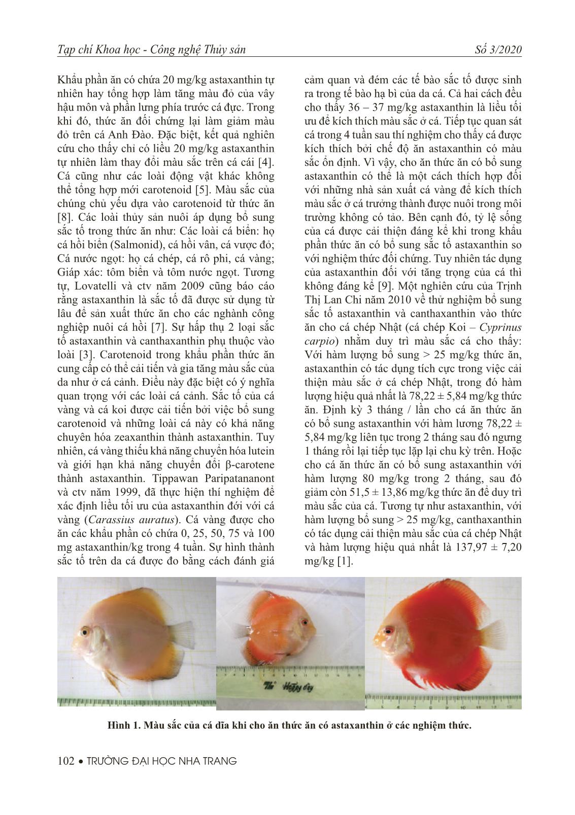 Nghiên cứu ảnh hưởng của việc bổ sung Astaxanthin và β-glucan được chiết xuất từ sinh khối nấm men Rhodospridium sp. vào thức ăn cho cá dĩa đỏ Symphysodon sp trang 5