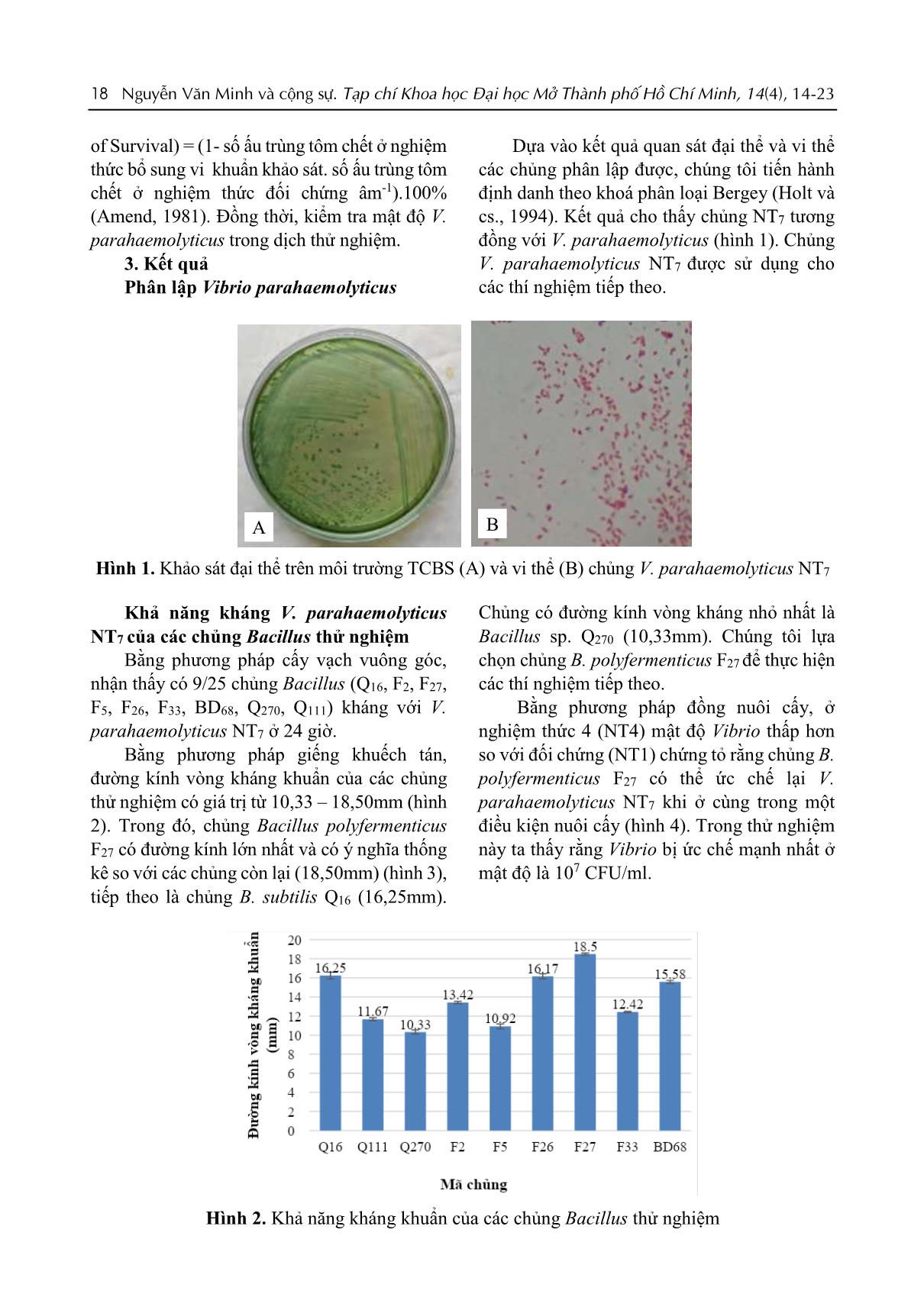 Khả năng kiểm soát sinh học Vibrio parahaemolyticus NT7 phân lập từ tôm thẻ bệnh hoại tử gan tụy (AHPND) của chủng Bacillus polyfermenticus F27 phân lập từ giun quế trang 5