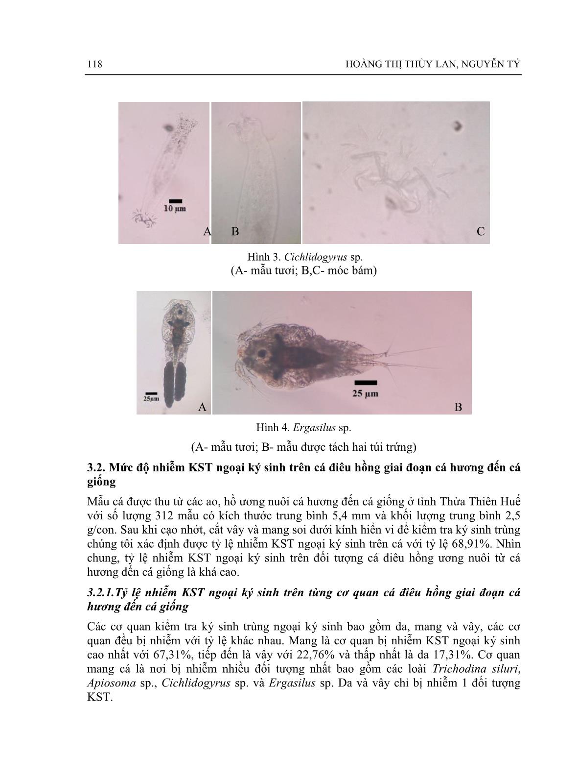 Một số ký sinh trùng ngoại ký sinh trên cá điêu hồng Oreochromis sp. giai đoạn cá hương đến cá giống nuôi ở tỉnh Thừa Thiên Huế trang 4